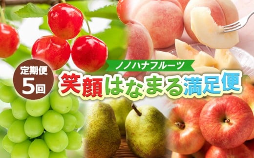 【定期便5回】ノノハナフルーツ 笑顔はなまる満足便 FY25-330