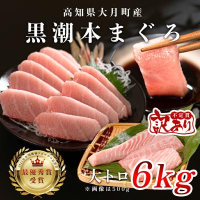 ふるさと納税 大月町 訳あり 不定貫 国産 黒潮本まぐろ 大トロ 計6kg