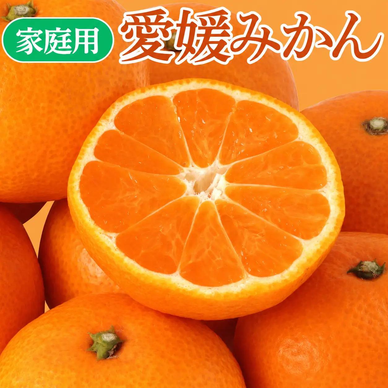 【先行予約】 訳あり 愛媛 みかん 5kg  みかん 愛なんよ