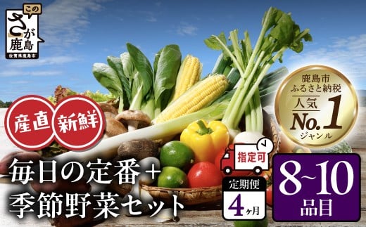 
            野菜定期便 4回 野菜ソムリエ厳選 肥前の国の旬野菜セット (8〜10品目)【曜日・時間帯指定OK】| 野菜定期便 野菜 定期便 野菜 4回 4ヶ月 4か月 新鮮 採れたて 野菜 セット 詰め合わせ 人気 ランキング 産地直送 定期便 野菜直売所 定期 野菜ソムリエ やさい ヤサイ 佐賀県 鹿島市 E-165
          
