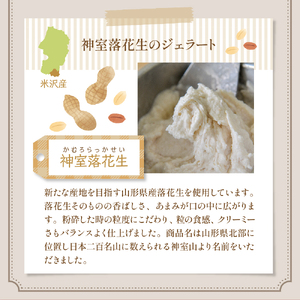 【 3ヶ月定期便 】 神室落花生 の ジェラート 8個 /月 ( 1個 90ml ) 全3回配送 山形県産 落花生 大豆 豆