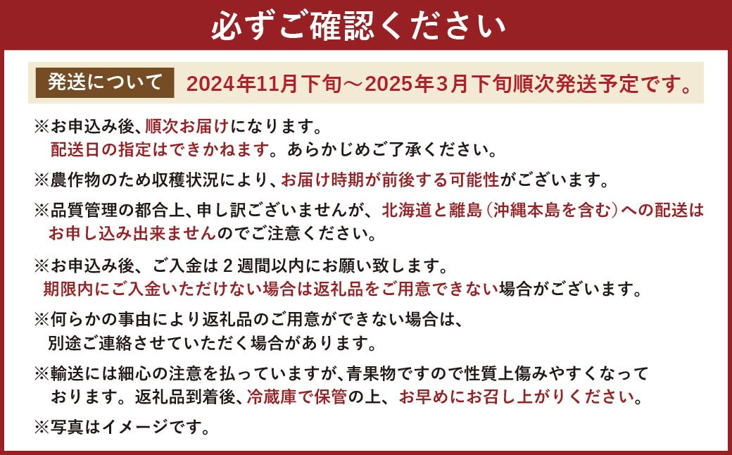 福岡県産 あまおう ギフト箱 24-30粒 約600g いちご 苺 フルーツ 国産【2024年11月下旬～2025年3月下旬発送予定】