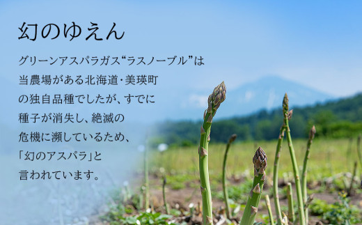 【令和8年産先行予約】美瑛町幻のアスパラ　本山農場のラスノーブル（グリーンアスパラ）Mサイズ2kg[019-64]