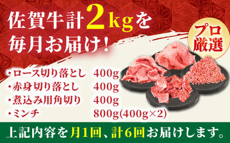 【全6回定期便】4人家族向け 佐賀牛 普段使いセットB【田中畜産牛肉店】農林水産大臣賞 ロース 赤身 角切り 切り落とし[HBH116] 佐賀牛 牛肉 農林水産大臣賞 佐賀牛 牛肉 ロース 佐賀牛 牛