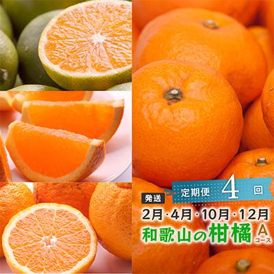 ふるさと納税 和歌山市 【発送月固定定期便】季節の柑橘定期便A【フルーツ定期便】【和歌山県有田】全4回