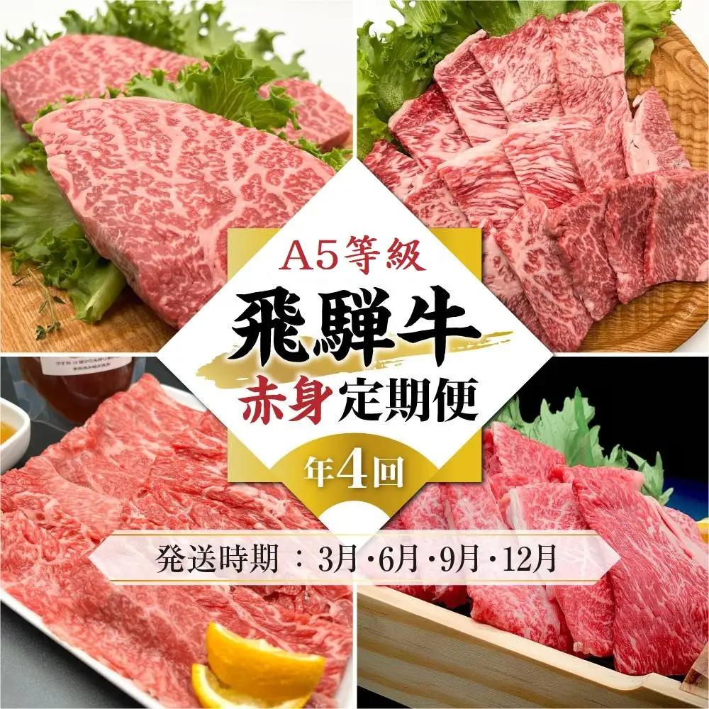A5等級飛騨牛 定期便 4回（ステーキ／しゃぶしゃぶ／すき焼き／焼肉）【3月・6月・9月・12月発送】| 定期便 HF109