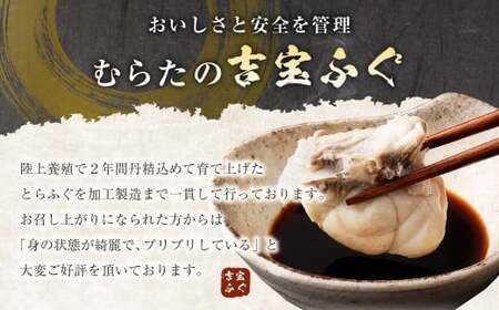 【3ヶ月定期便】とらふぐ「鍋」セット 吉宝ふぐ『焼きひれ／特製ポン酢／もみじおろし付き』ふぐ 河豚 フグ とらふぐ トラフグ 鍋 ふぐ鍋 熊本県 上天草市