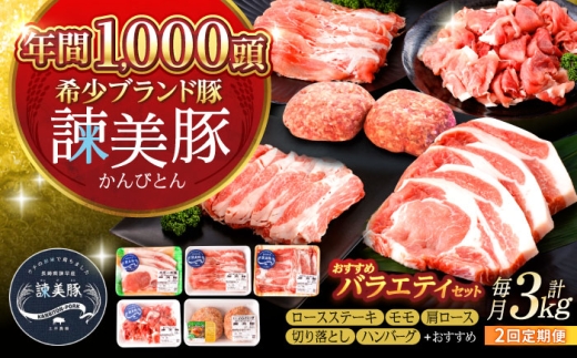 【2回定期便】＜米で育てた＞諫美豚おすすめバラエティセット3kg / 豚肉 ぶたにく 豚 ポーク 肩ロース ステーキ モモ 切り落とし ハンバーグ ロースステーキ パック 小分け / 諫早市 / 株式会社土井農場 [AHAD001]