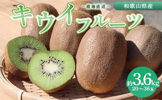 
            和歌山産 キウイフルーツ M～4Lサイズ 約3.6kg 秀品 ｜果物 フルーツ 和歌山産キウイ キウイフルーツ秀品 キウイフルーツ3.6kg キウイフルーツMサイズ キウイフルーツ4Lサイズ キウイフルーツ2026年 キウイフルーツ和歌山 キウイフルーツ産地 キウイフルーツ時期 ※2026年1月下旬～3月中旬頃に順次発送予定 ※北海道・沖縄・離島への配送不可
          