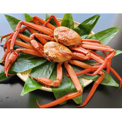 ふるさと納税 魚津市 魚卸問屋のベニズワイガニ400g級×2杯