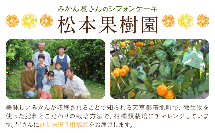 菓子 シフォンケーキ 大 2個 デコポン 晩柑 アスパラガス 加工所みかん屋さん 松本果樹園《30日以内に出荷予定(土日祝除く)》熊本県 苓北町 お菓子 シフォン ケーキ スイーツ おやつ 洋菓子 デ