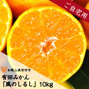 【ふるさと納税】有田みかん「風のしるし」訳あり 訳アリ 10kg（A241-1）送料無料 産地直送 ご自宅用 ご家庭用 フルーツ 果物 本場 和歌山 有田 有田市 ありだ みかん 甘い 濃厚 コク ジューシー S M L s m l 先行予約