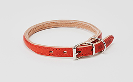 good collar 4号［犬 猫 首輪］ アカネ