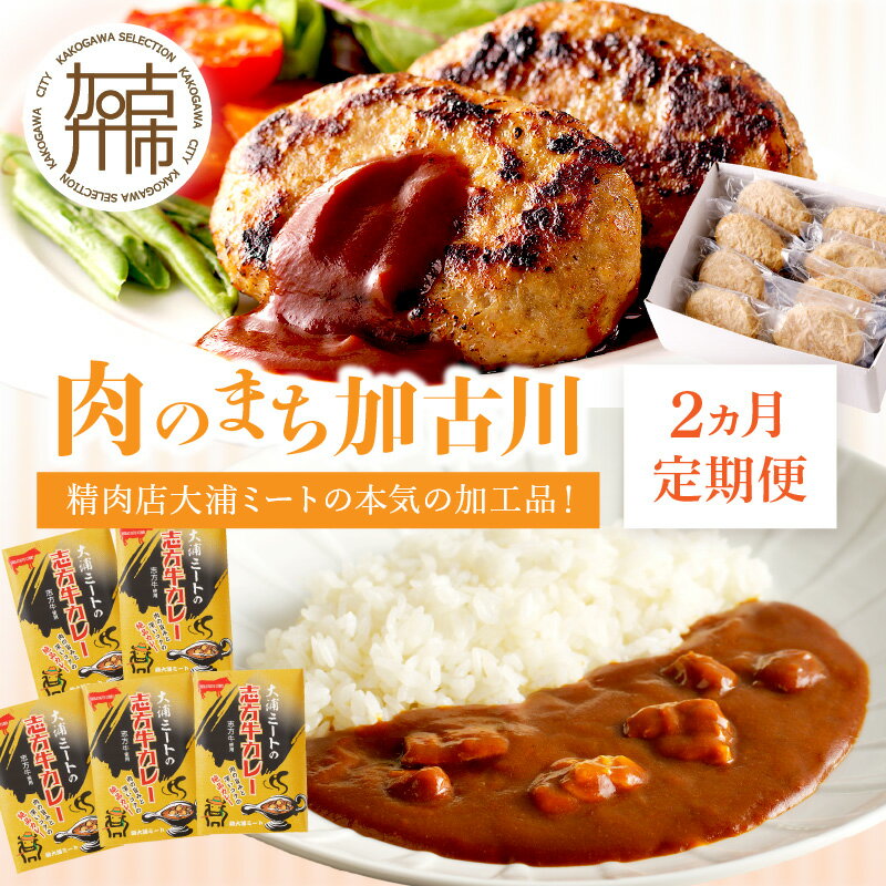 【ふるさと納税】【レビューキャンペーン】「肉のまち加古川」精肉店大浦ミートの本気の加工品！