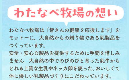 【定期便6回】ヨーグルト500ｇ（プレーン）6個セット／ 無糖 ネッカ牛乳 ノンホモ製法 セット 搾りたて 栄養 こだわり おやつ デザート 朝食 スイーツ 自然派 化学合成物質不使用 安心 乳製品 