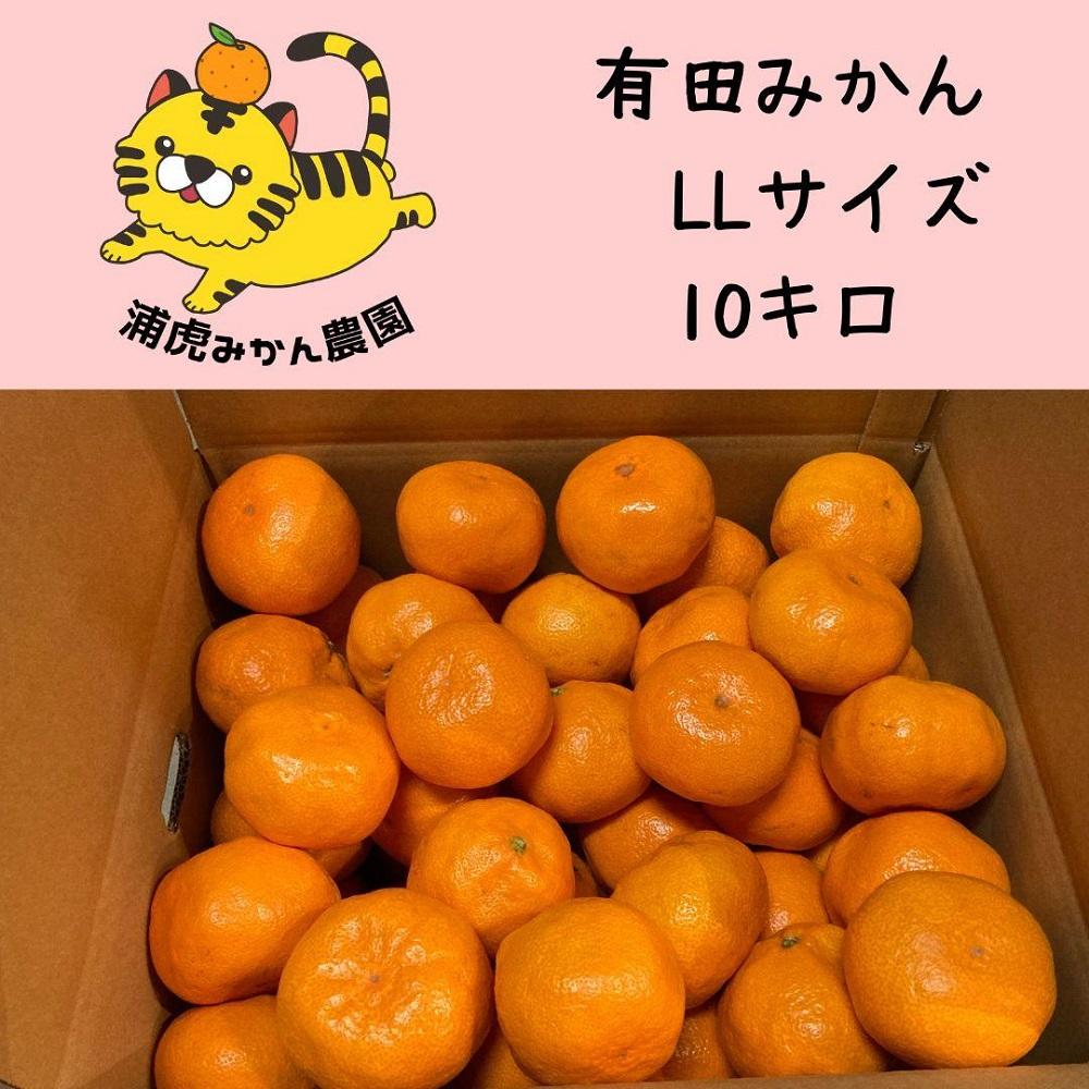 12/25までにご入金確認分は年内発送確定！きれいな温州みかん 寄贈用にお勧め LLサイズ 箱込み10kg