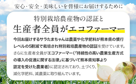 訳あり サラたまちゃん 新玉ねぎ 5kg 《4月中旬-5月末頃出荷》熊本県 葦北郡 津奈木町 野菜 たまねぎ エコファーマー 大中小サイズ混合 特産品 サラたまちゃん サラダ玉ねぎ 玉ねぎ タマネギ