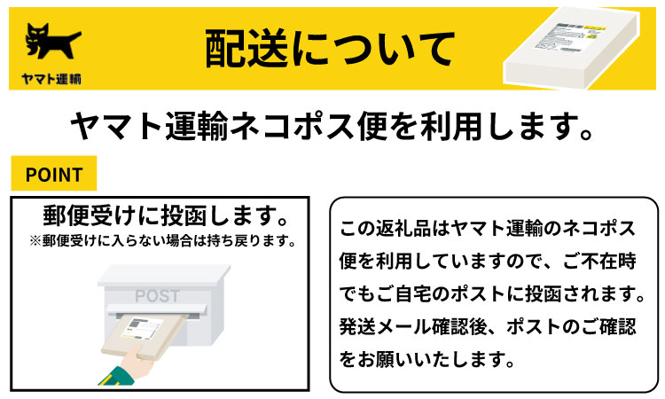 昔ながらの小城羊羹　8個入×6袋セット 山田老舗 和菓子 詰め合わせ（白練・抹茶・紅練・小倉） 切羊羹 表面シャリシャリ お茶 小分け スポーツ ゆうパケット便