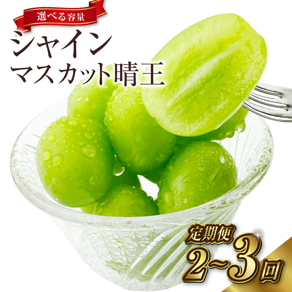 【ふるさと納税】【2ヶ月／3ヶ月定期便】シャインマスカット 晴王 1房（約600g）2房（合計約1kg）計約1.2kg～約3kg ＜選べる定期便・容量＞ぶどう 2025年 先行予約 ブドウ マスカット 岡山県産 国産 フルーツ 果物 ギフト 産地直送【2025年9月上旬より順次発送予定】