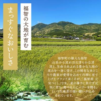 ふるさと納税 福智町 福智町産ブランド米(元気つくし5kg) |  | 02