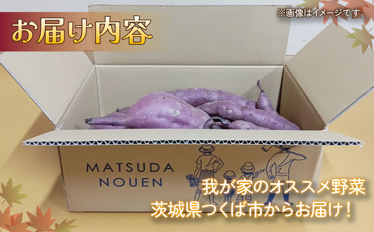  茨城県産 熟成さつまいも ( 紅はるか ) SS〜3Lサイズ訳アリ7kg ( 箱入り )【 紅はるか さつまいも サツマイモ おやつ スイーツ 甘味 デザート 訳アリ 訳あり 10000円 茨城県 