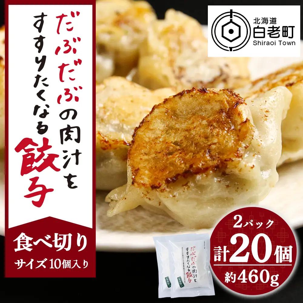 だぶだぶの肉汁をすすりたくなる餃子 20個（10個入×2パック） BE012