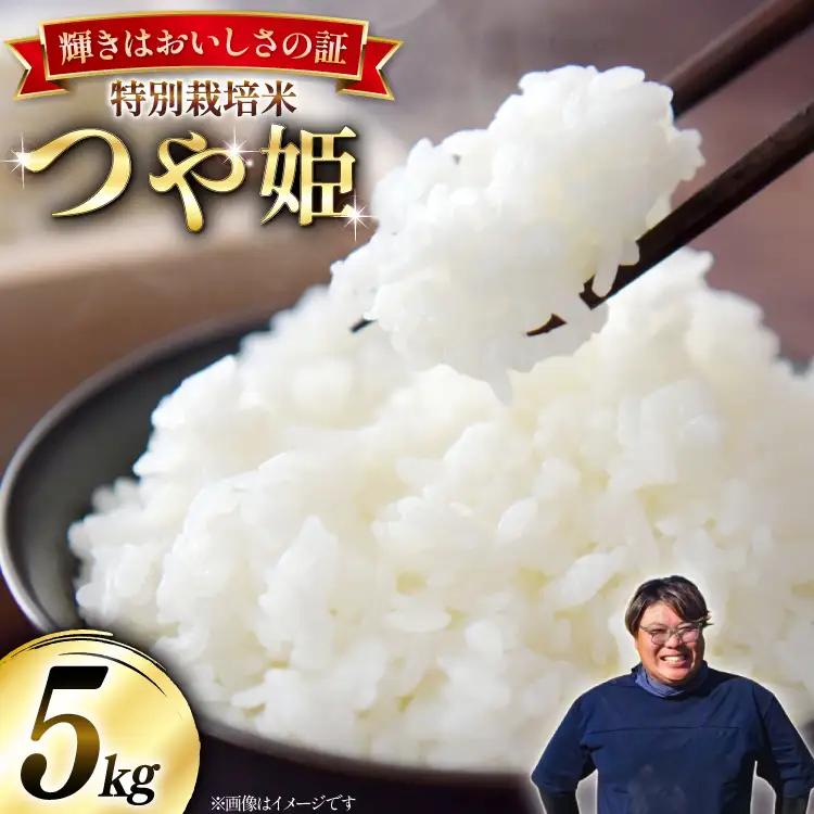 米 令和8年産 特別栽培米 つや姫 5kg