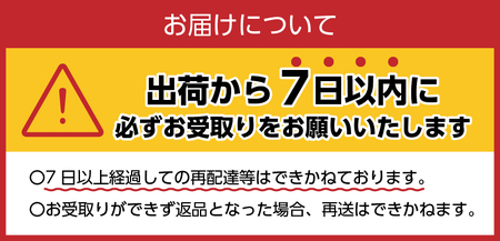 【最短7日発送！】 富士山蒼天の水 500ml×24本（1ケース）※離島不可 天然水 ミネラルウォーター 水 ペットボトル 500ml バナジウム天然水 飲料水 軟水 鉱水 国産 シリカ ミネラル 美