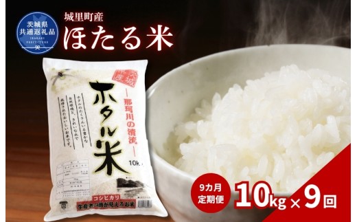 ほたる米 10kg 定期便 9ヶ月 米 こめ コメ お米 おこめ コシヒカリ ホタルマイ 白米 精米 ごはん ご飯 令和7年産 茨城県 城里町 高萩市（茨城県共通返礼品・城里町産）