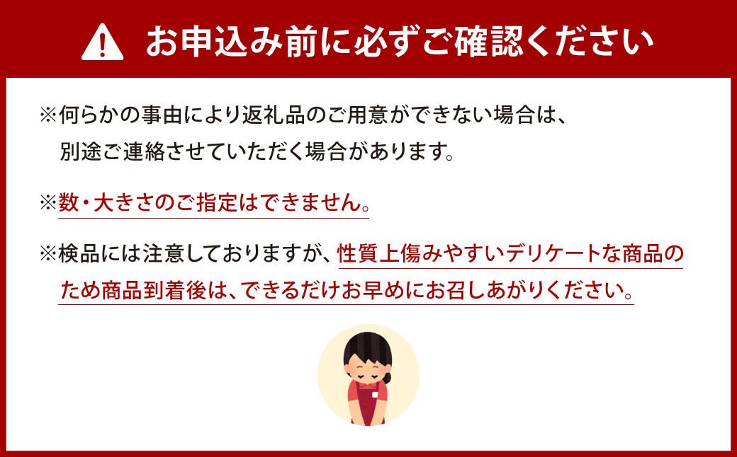 神田野菜の美味しい人参 1kg （Lサイズ 8～10本）