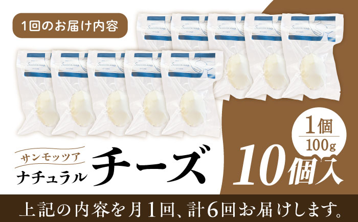 【全6回定期便】自家製ナチュラルチーズ サンモッツア 10個 ( 100g × 10個 ) 熊本 山都町【山の未来舎】[YBV021]