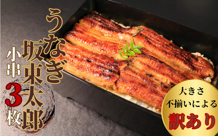 訳あり 国産うなぎ 坂東太郎 蒲焼 小串3枚セット （約90ｇ×3） 鰻 国産 ｳﾅｷﾞ 訳あり  小串 坂東太郎  訳ありｳﾅｷﾞ 訳あり鰻 