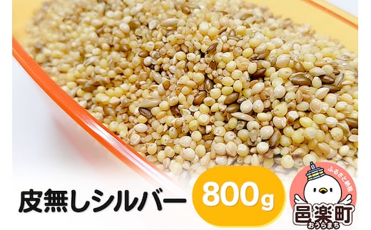 
										
										皮無しシルバー 800g×1袋 サイトウ・コーポレーション 飼料
									