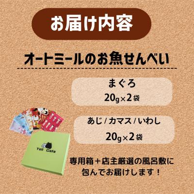 ふるさと納税 精華町 【ペット用】オートミールのお魚せんべい2種 80g (20g×各2袋) 専用箱付き |  | 03