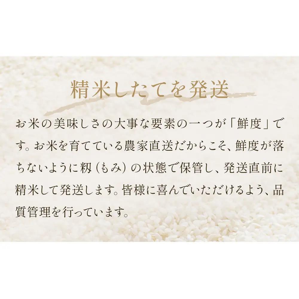 【12月配送】 ＜先行予約＞ 米 令和8年産 ひとめぼれ 精米 5kg 単品 新米 こめ コメ お米 ご飯 白米 ヒトメボレ 特別栽培米 減農薬栽培 ヨシ腐葉土米 ブランド米 国産 ごはん ライス お