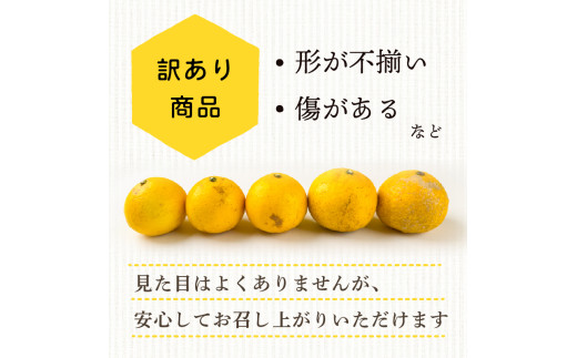 【早期予約 5月中旬～発送】 【 超訳あり 】 小夏 ( 日向夏 ) 5kg 産地直送 ニューサマーオレンジ マル 等級  旬 高知 県 須崎 産  柑橘 初夏 フルーツ 果物 こなつ コナツ ひゅう