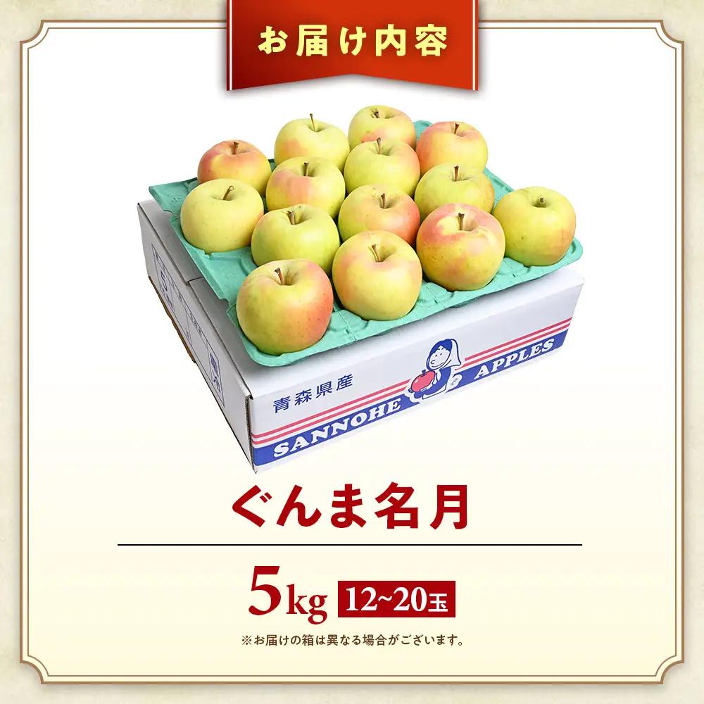 青森県産りんご ぐんま名月 約5kg りんご 10月下旬～