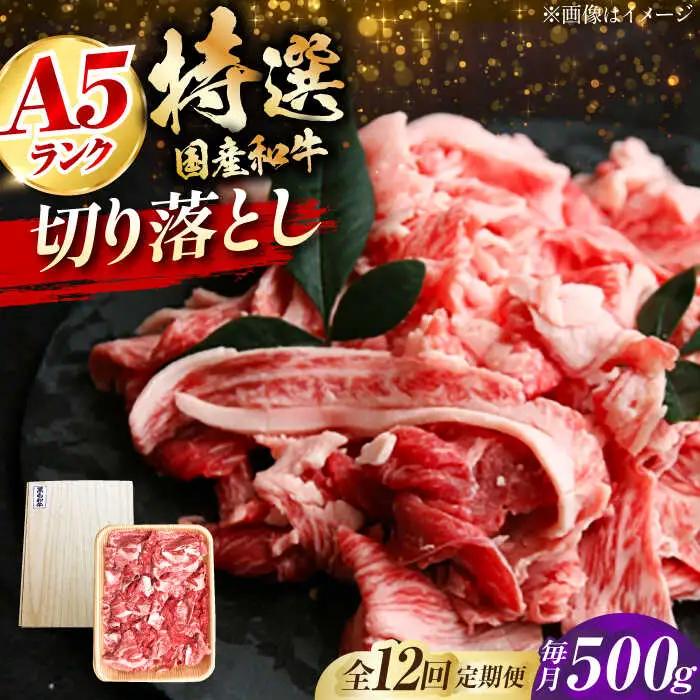 【全12回定期便】国産和牛切落し 500ｇ[AOAI052]切り落とし