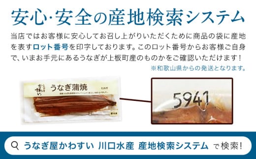 うなぎ屋かわすい 国産うなぎの蒲焼 計5尾 (1尾150g-169g) 川口水産株式会社《30日以内に出荷予定(土日祝除く)》徳島県 上板町 鰻 うなぎ ウナギ 鰻の蒲焼き 蒲焼 蒲焼き 国産 k-1