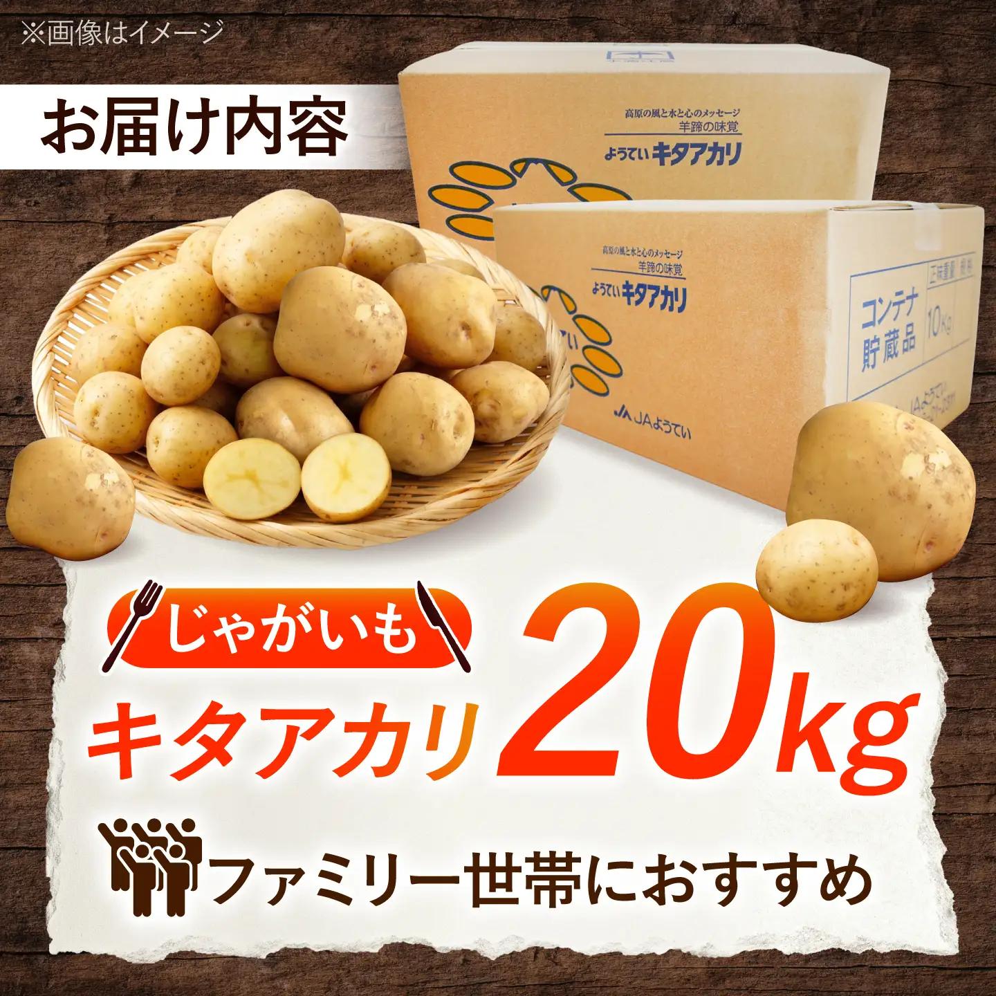 じゃがいも キタアカリ 20kg | じゃがいも ジャガイモ キタアカリ 野菜 季節の野菜 北海道 産地直送 先行予約 | 株式会社Aコープようてい[BPAT006]