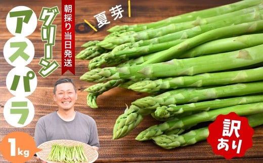 朝採れ！新鮮！訳ありグリーンアスパラガス B品 1kg | アスパラ アスパラガス グリーンアスパラガス 夏芽 朝採れ 新鮮 料理 野菜 サラダ 美土里農園 栃木県 茂木町