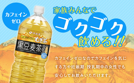 ［定期便 全6回 毎月発送］健康ミネラル麦茶黒豆麦茶 2L×1ケース （6本）