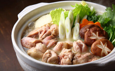 訳あり 博多水炊き 10人前セット [BGAB107] 水炊き 訳あり 人気