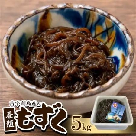 古宇利島産の養殖もずく5.0kg【配送不可地域：離島】【1483943】