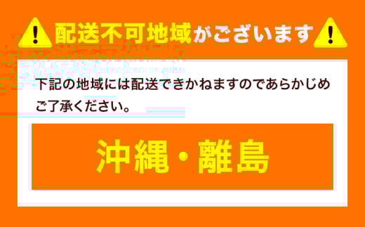 コーヒー豆セット セットB 豆のまま グアテマラ スペシャルブレンド ブラジル (各100g) ユニバース珈琲 《30日以内に出荷予定(土日祝除く)》 コーヒー 豆 セット 飲み比べ【配送不可地域あり