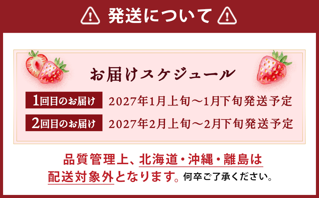 【2回定期便】いちご「あまおう」 約270g×2パック 計約1.08kg 苺 イチゴ 果物 フルーツ 【2027年1月上旬発送順次開始予定】