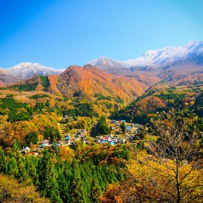 ふるさと納税 津南町 【毎月定期便】県認証特別栽培魚沼産コシヒカリ20kg (10kg×2袋)×3回 合計60kg全3回 |  | 02