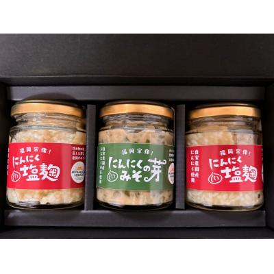 ふるさと納税 宗像市 にんにく塩 2本　にんにくの芽みそ1本【むなかたひかり】_HA1597 |  | 01