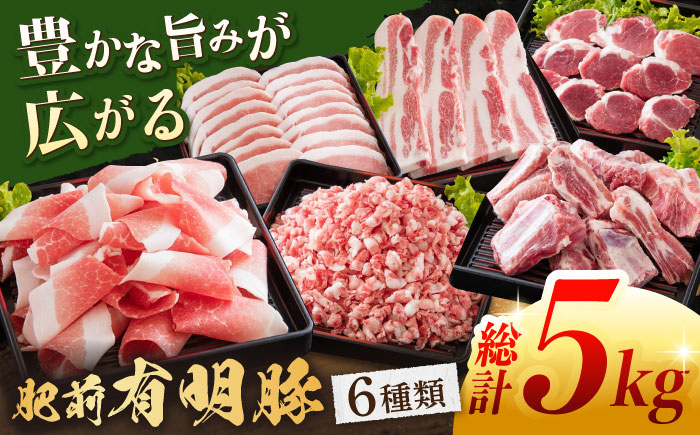 肥前有明豚 6種 バラエティセット 総計5kg / 肥前有明豚 豚肉 豚 切り落とし きりおとし ミンチ ロース ヒレカツ バラ スペアリブ 小分け 便利 【くすのきファーム】 [NAS002]