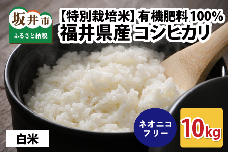 【先行予約】【令和7年産・新米】【特別栽培米】福井県産 コシヒカリ 10kg ～化学肥料にたよらない有機肥料100%～ ネオニコフリー （白米）【2025年10月上旬以降順次発送予定】 [A-13405_01]